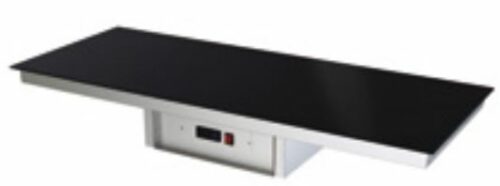 Placa Caliente De Cristal Templado Sin Marco Negro 2 GN PCTM0002 Distform